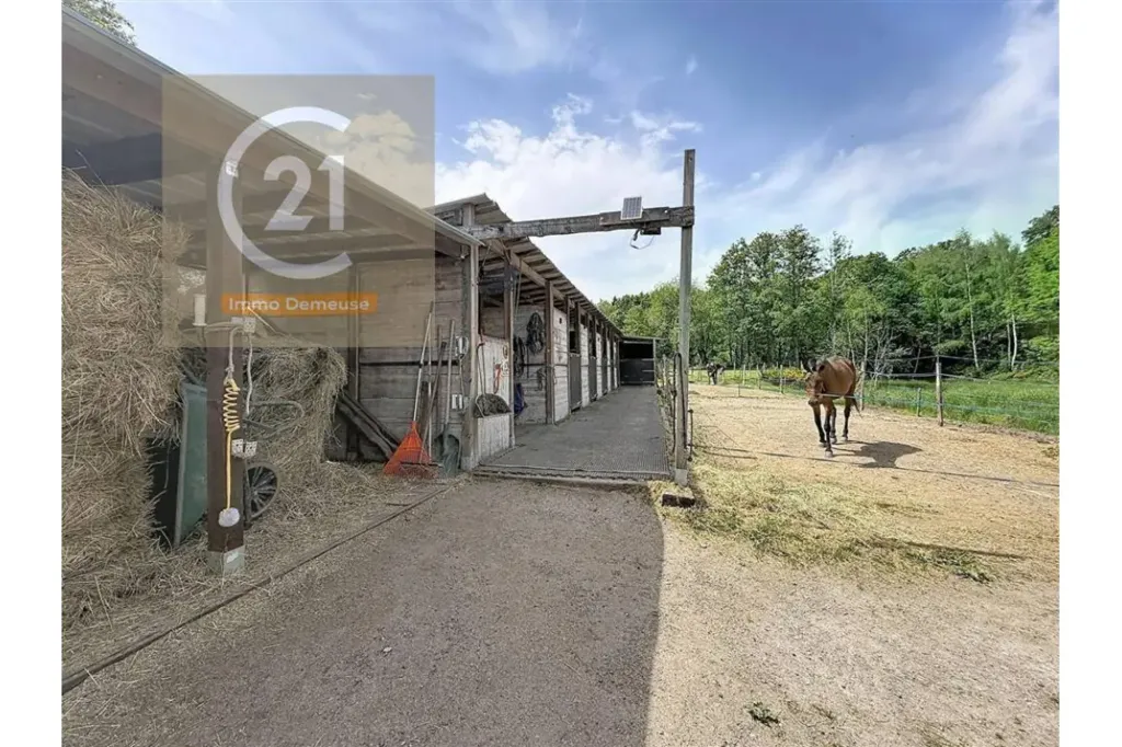 Aed - Equestrian Property with Extensive Land in Givry