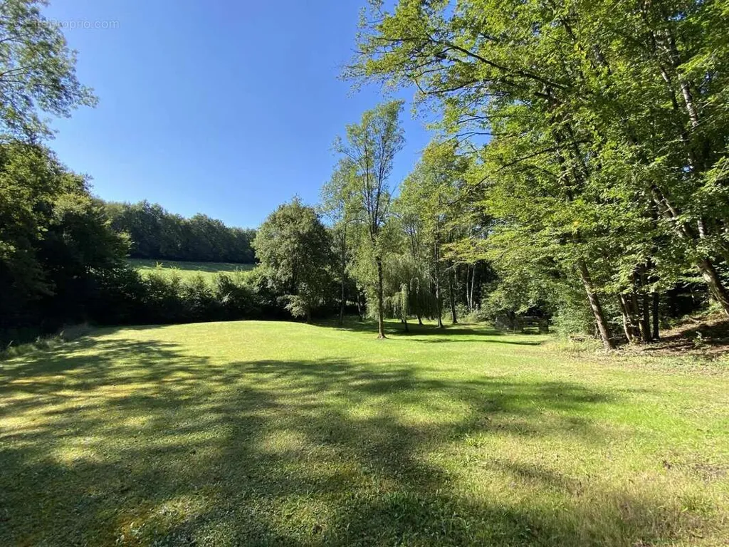Jardin - Propriété Contemporaine avec Parc à 8 km de Châtellerault