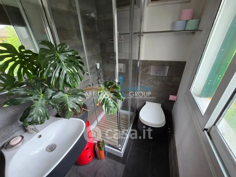 Vannitoad - Terraced House with Garden in Massa Centre