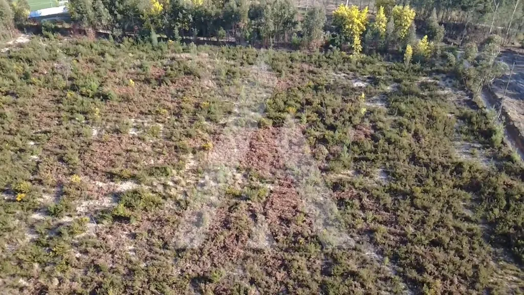 Vue aérienne - Rural Land with Easy A25 Access in Mangualde
