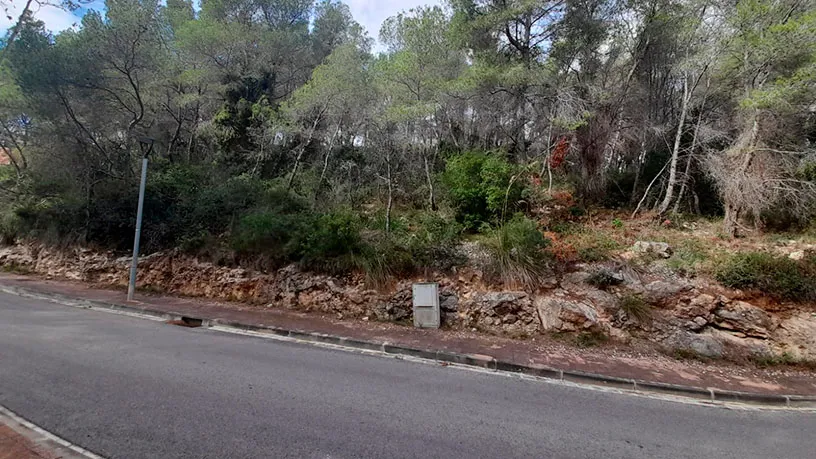 Aed - Urban Plot for Development in Sant Pere de Ribes