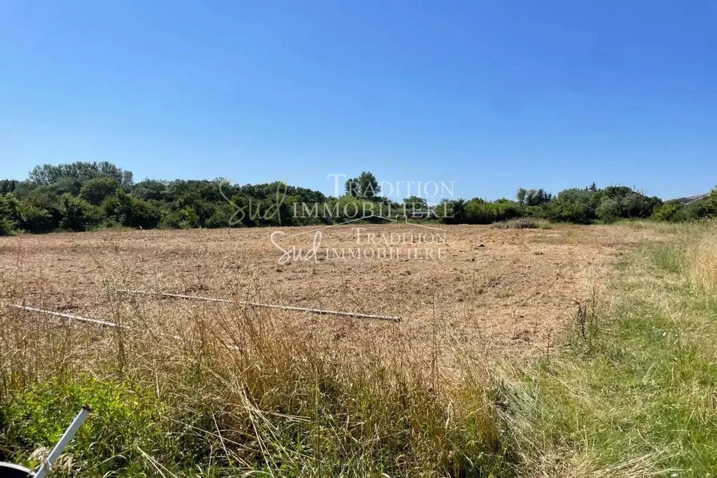 Aed - Luxury Villa to Renovate with Alpilles View