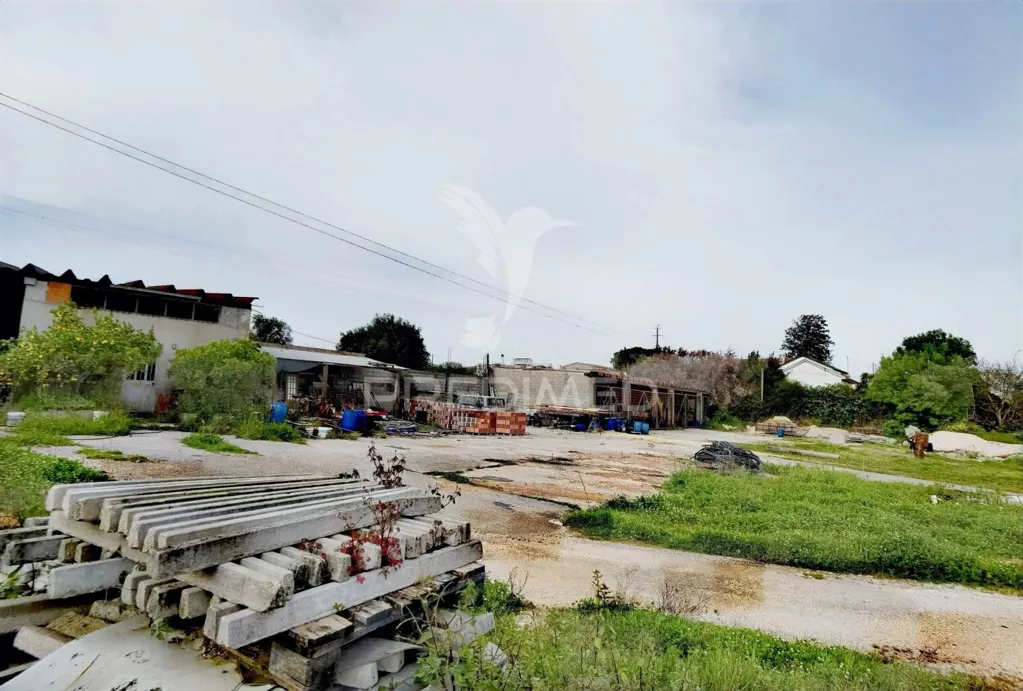 Garden - Commercial Warehouse with Land in São Pedro