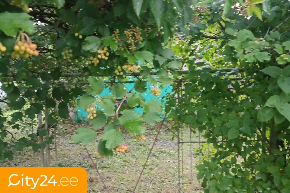 Jardin - Single-Family Home with Garden in Uusküla