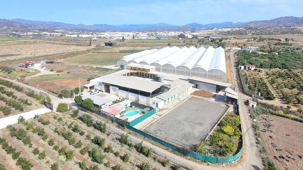 Õhuvaade - Equestrian Centre with Coastal Proximity in Torre del Mar