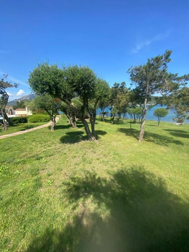 Aed - Timeshare Apartment with Patio in Costa Smeralda