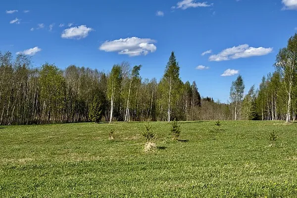 Jardin - Terrain à Kanepi vald