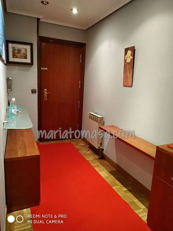 Ingresso - Spacious Flat with Terrace in Judizmendi