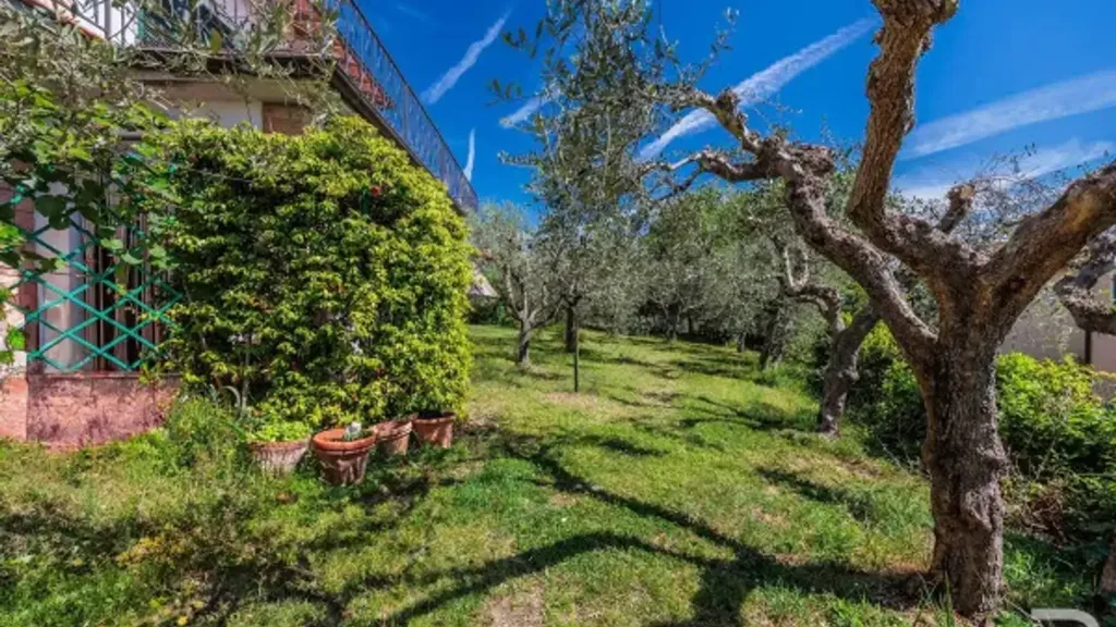 Aed - Luxury Villa with Olive Garden in Sinalunga