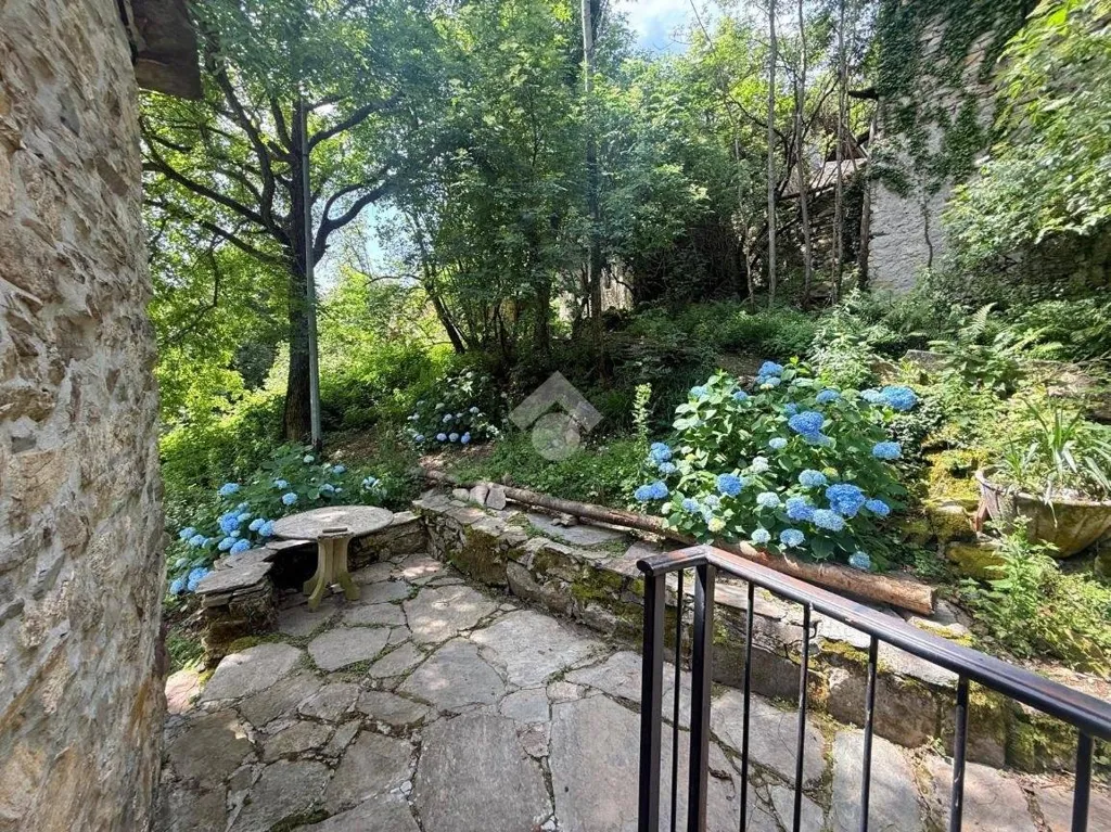 Giardino - Rustic House with Garden in Monastero di Lanzo