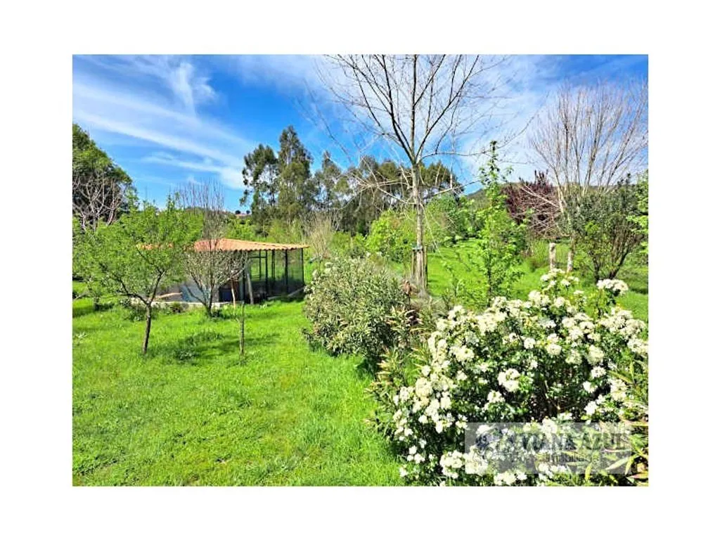 Aed - Historic Manor with Garden in Vila de Punhe