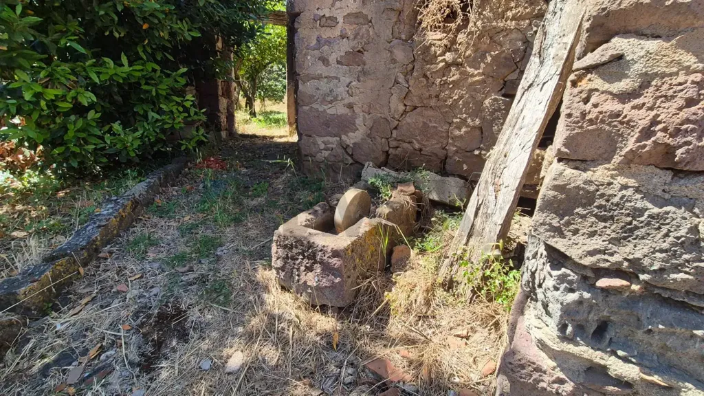 Aed - Rustic House with Olive Grove in Allai