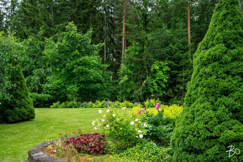 garden