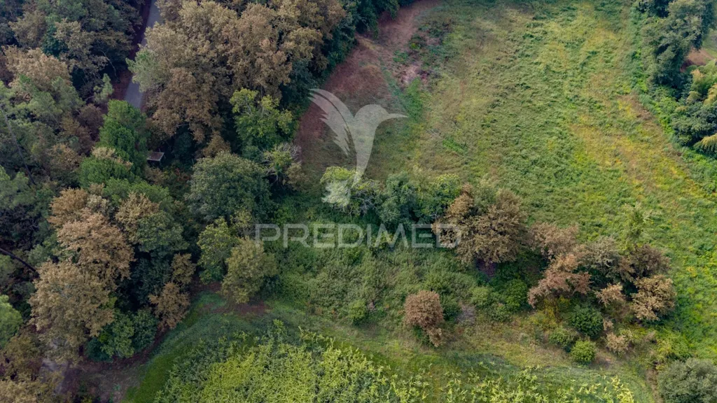 Vue aérienne - Agricultural Land with Construction Viability in Lage
