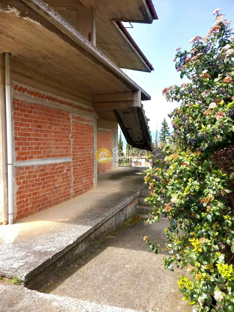 4-toaline korter asukohas GR