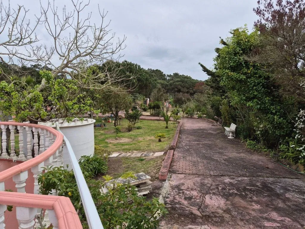Garden - Luxury House with Pool in Sintra