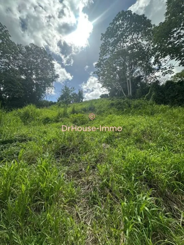 Jardin - Terrain en Pente avec Vue Dégagée à Lamentin