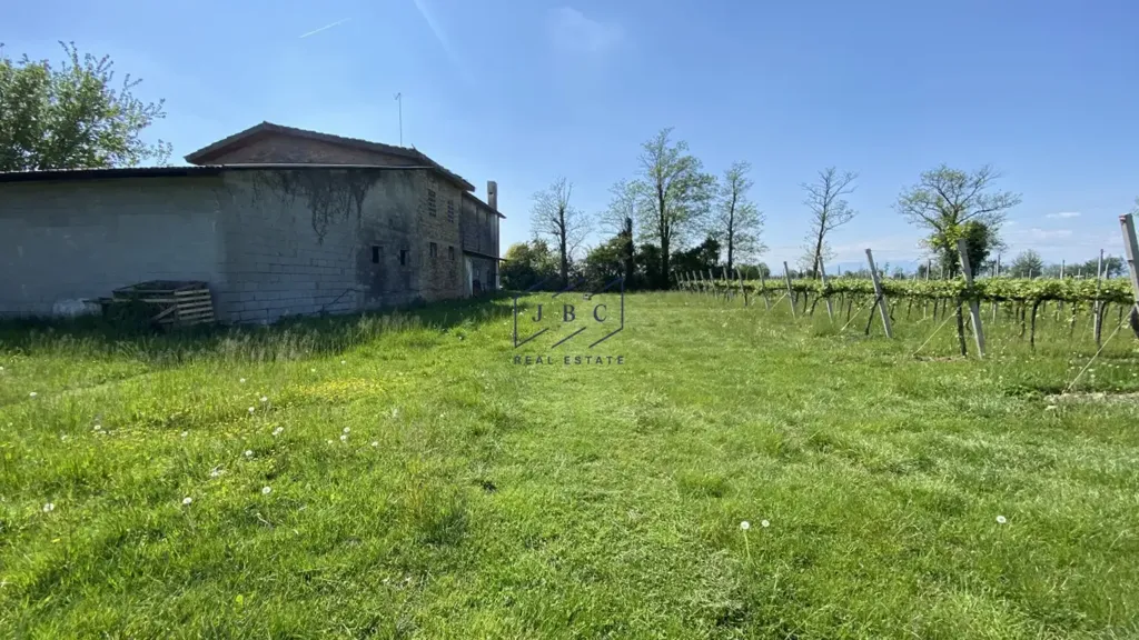 Aed - Rustic House with Garden in Ormelle