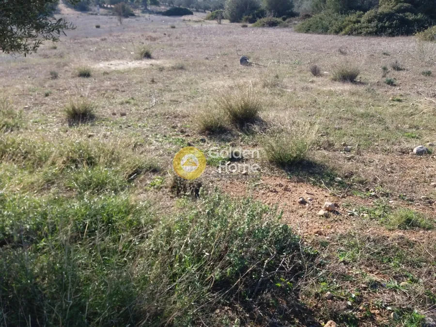 Giardino - Plot with Unrestricted View in Kalivia - Lagoni