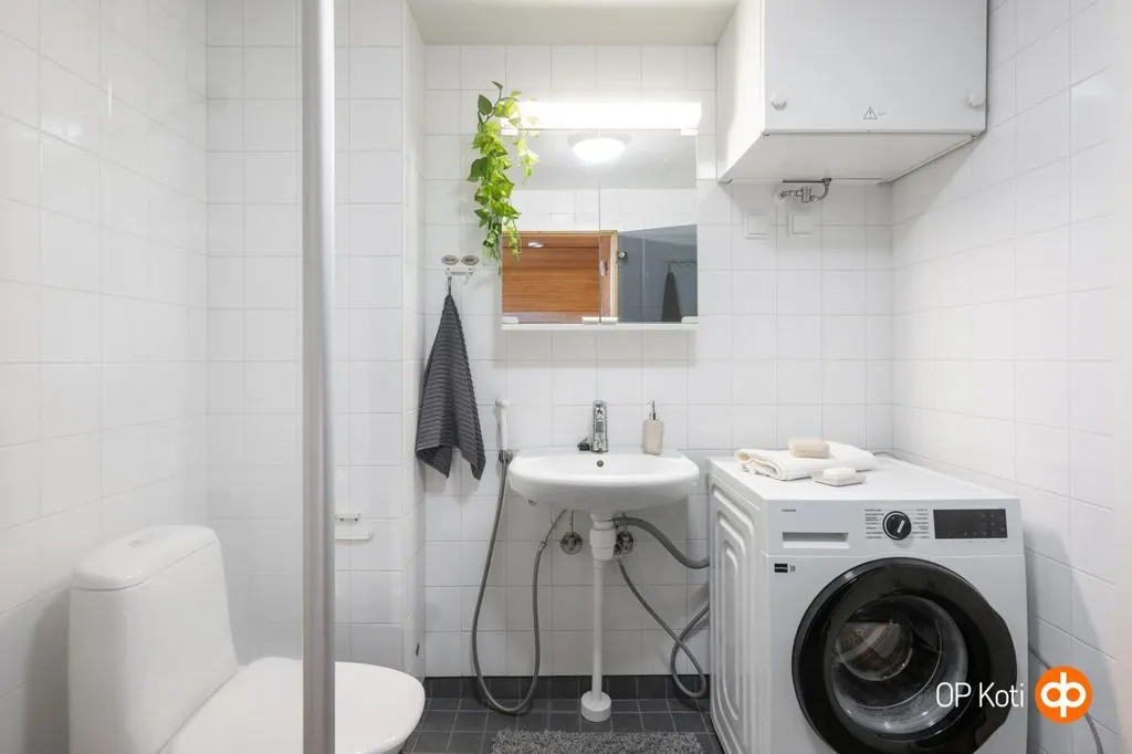Vannitoad - Apartment with Sauna in Jyväskylä