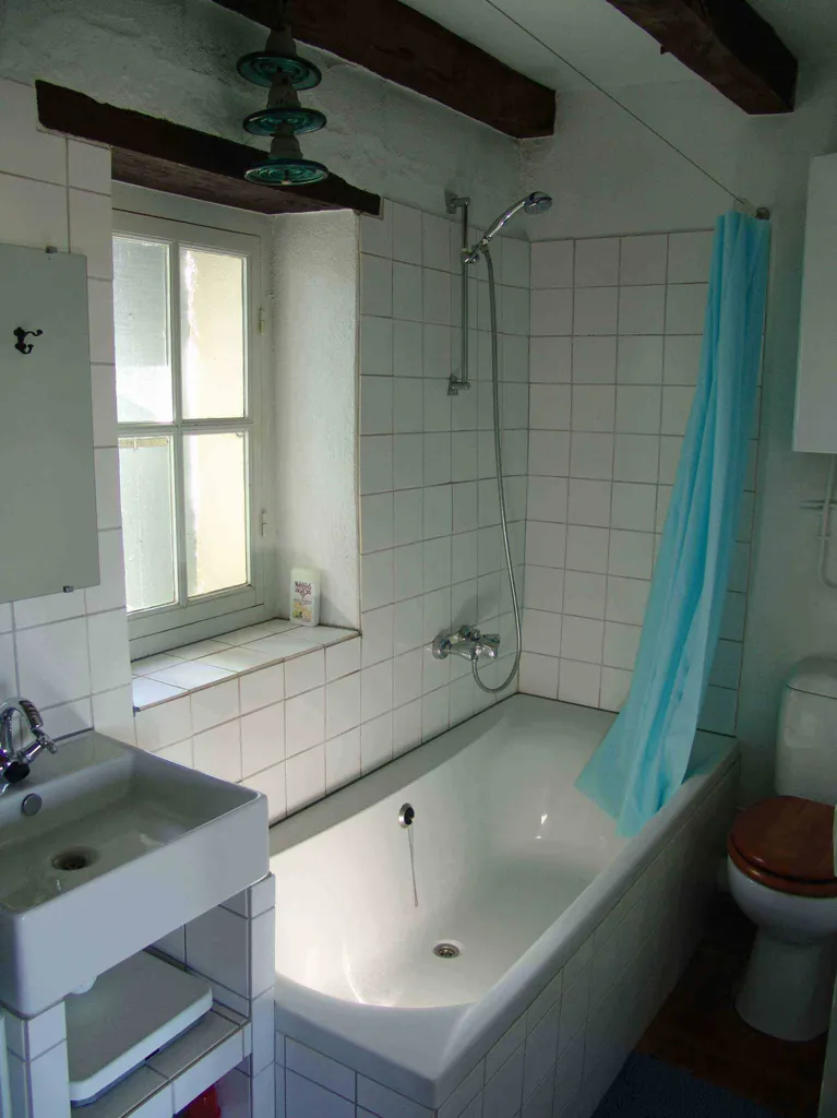 Salles de bain - Fermette avec deux logements et jardin à Laféline