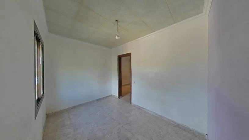 Toad - Functional Flat with Tour in Barcelona
