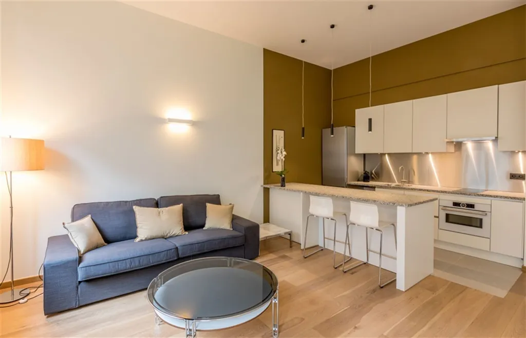 Cuisine - Appartement Meublé de Standing près de la Place Stéphanie