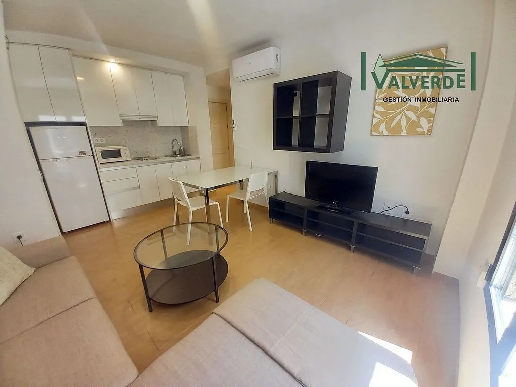 Living Room - Ample 1-Bedroom Apartment in Sagrario Centre
