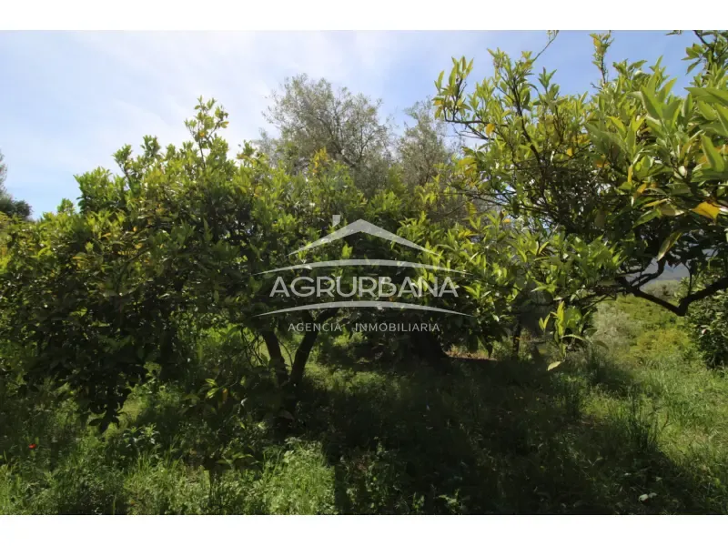 Aed - Rustic Farmhouse with Fruit Trees in Órgiva