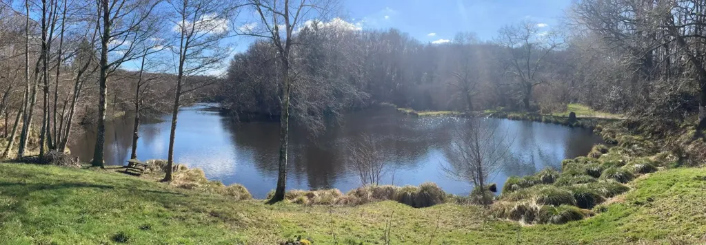 Chalet with Fishing Lake in Compreignac