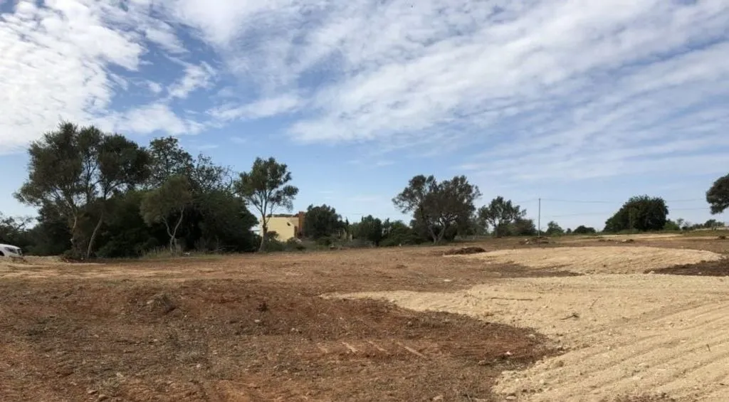 Jardin - Building Land with Pool Project in Almancil