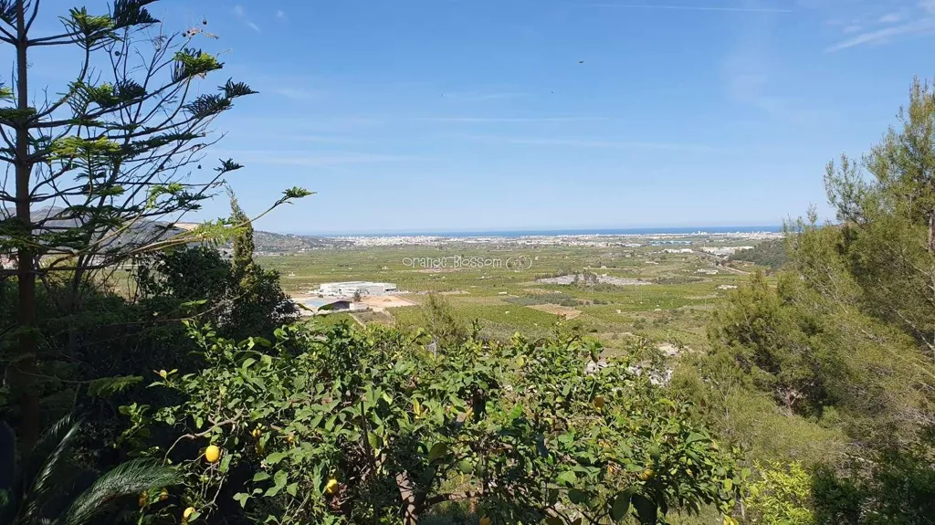 Aed - Detached Villa with Sea Views in Ador