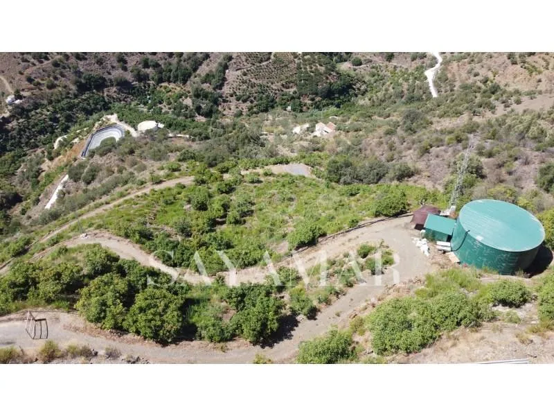Vue aérienne - Private Finca with Fruit Trees in Sayalonga