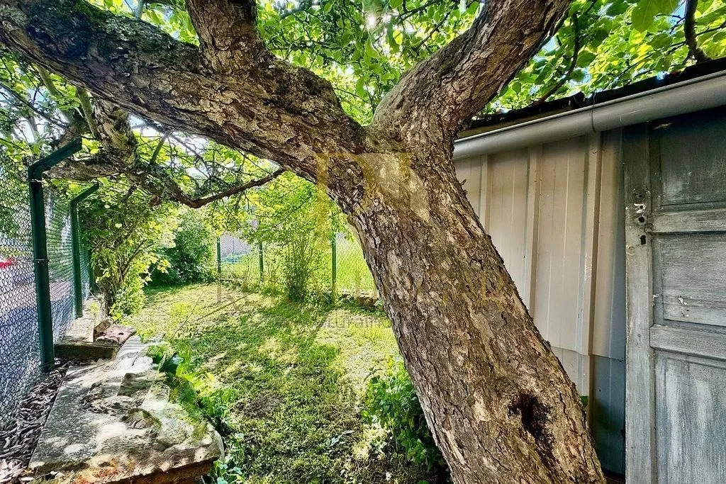Garden - Chalet with Garden in Matallana de Torío
