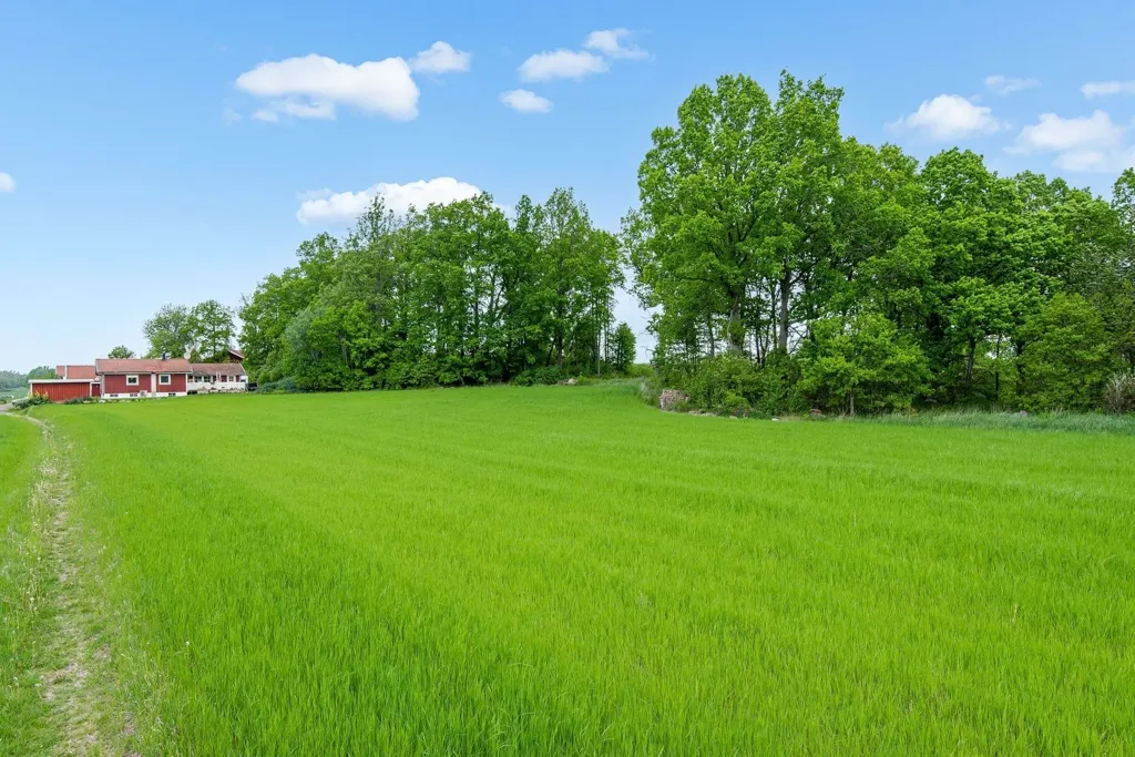 Aed - New Build Villa with Garden in Tomta Eksberg