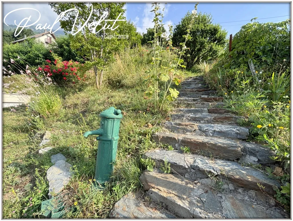 Toad - Mountain House with Terrace in Allemond