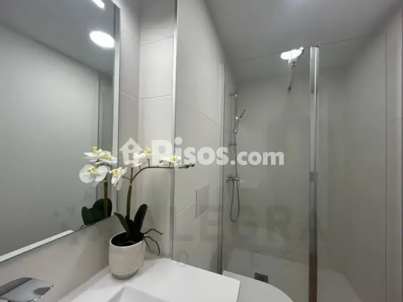 Vannitoad - Luxury Flat with Terrace and Pool in Jerez Centre