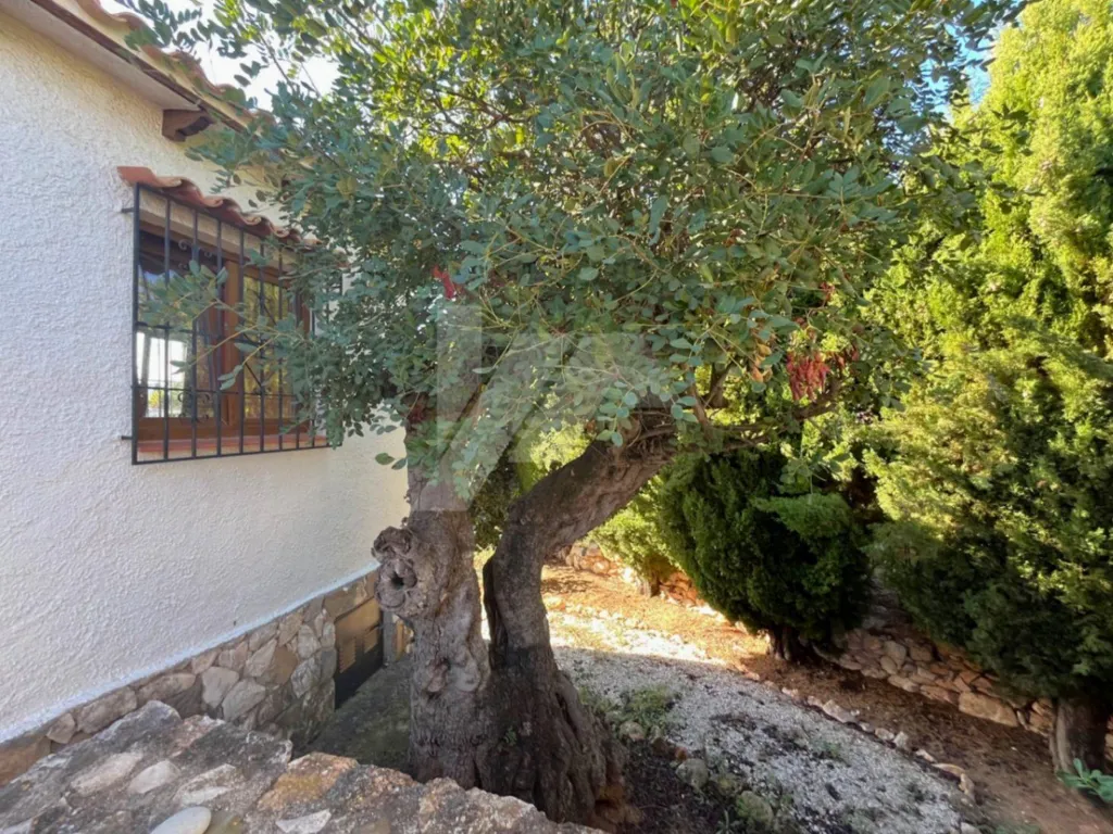 Extérieur - Traditional Villa with Large Plot in Cala Advocat