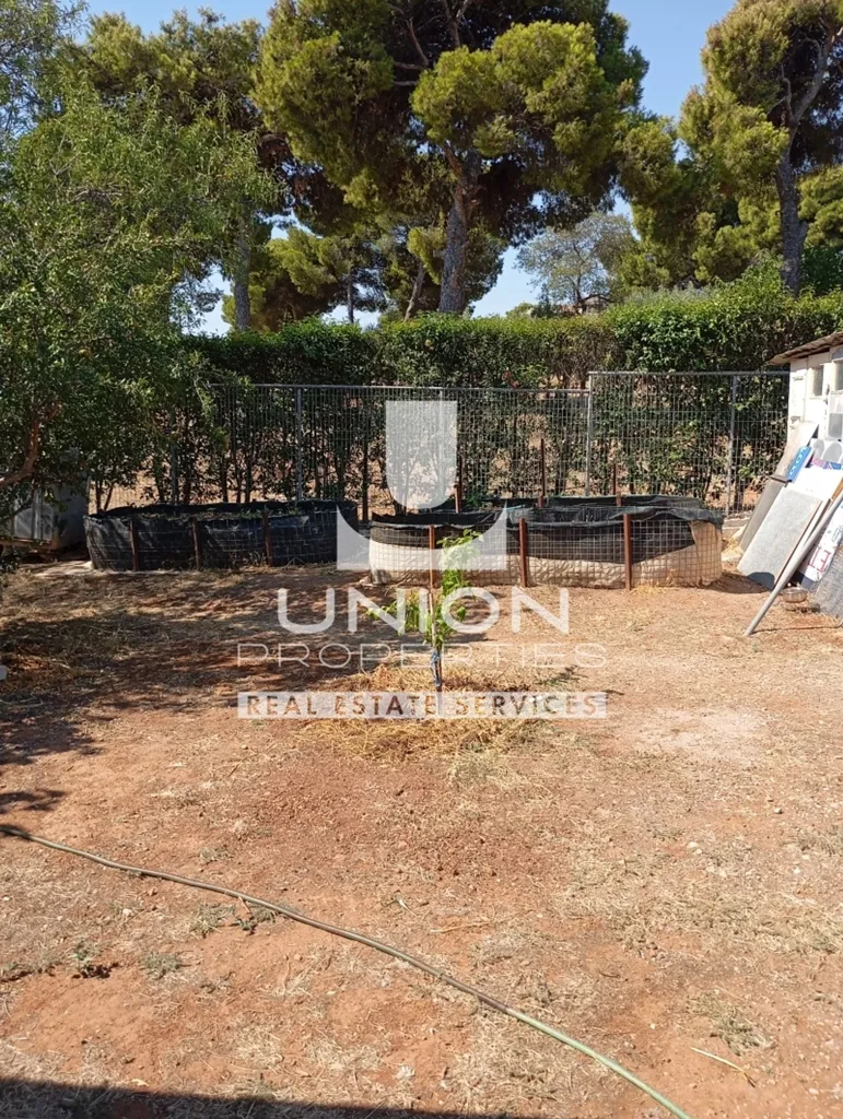 Giardino - Detached House with Sea View in Rafina