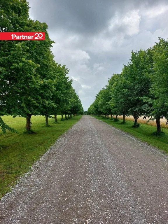 Välivaade - Land Plot with Farming Potential in Saue