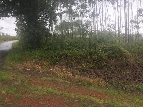 Jardin - Plot with Views in Zas, A Coruña