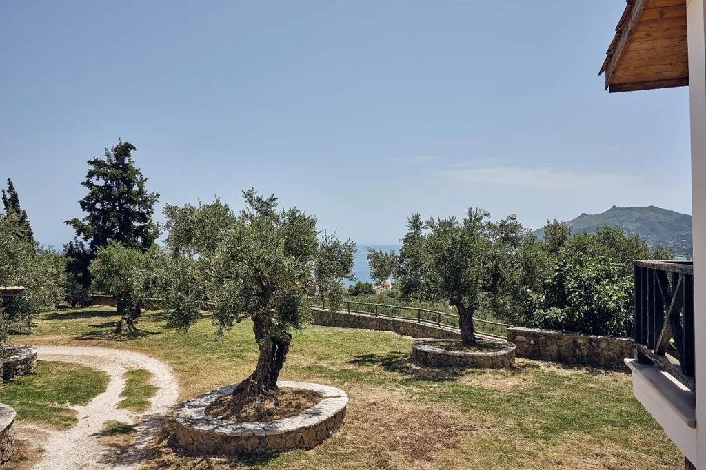 Terrasse - Luxury Apartments with Olive Grove in Zakynthos