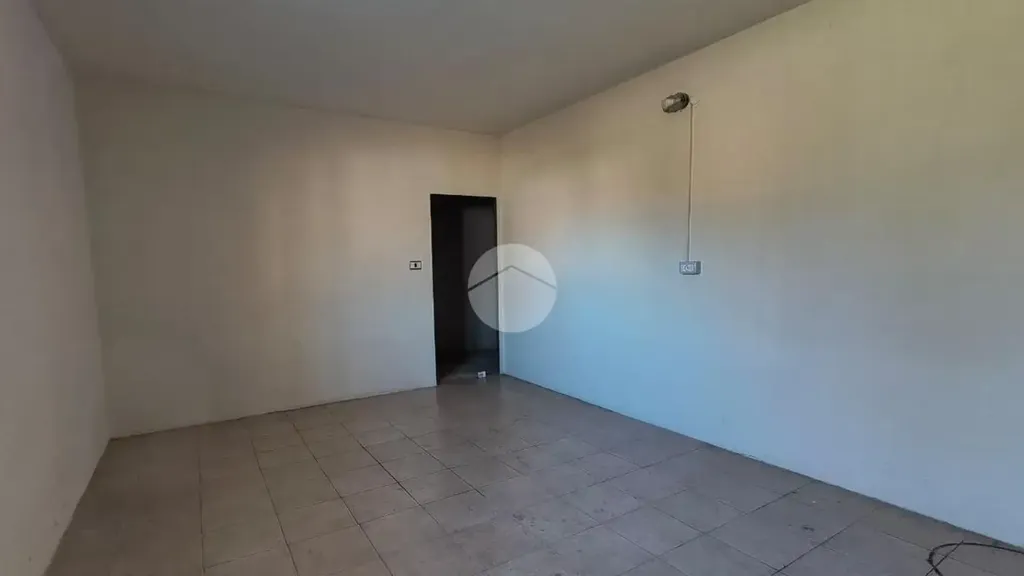Toad - Rented Apartment with Balcony in Cervere