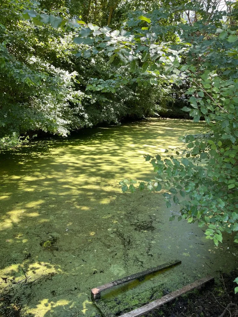 Jardin - Logis Charmant avec Gîte près de la Côte Vendéenne