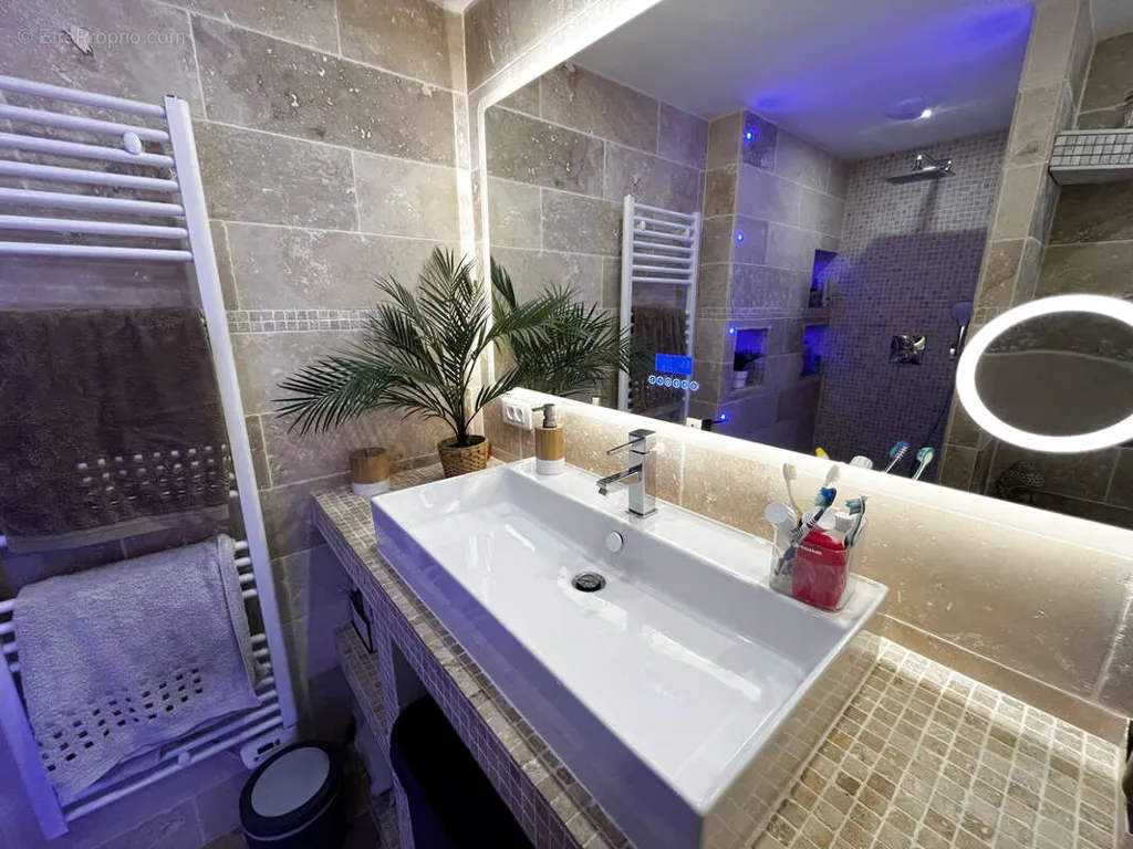 Bagni - Two Apartments with Garden in Vizille