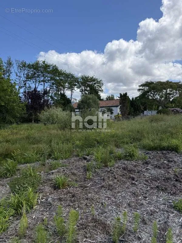 Jardin - Terrain Constructible à Bidart, Quartier de l'Uhabia