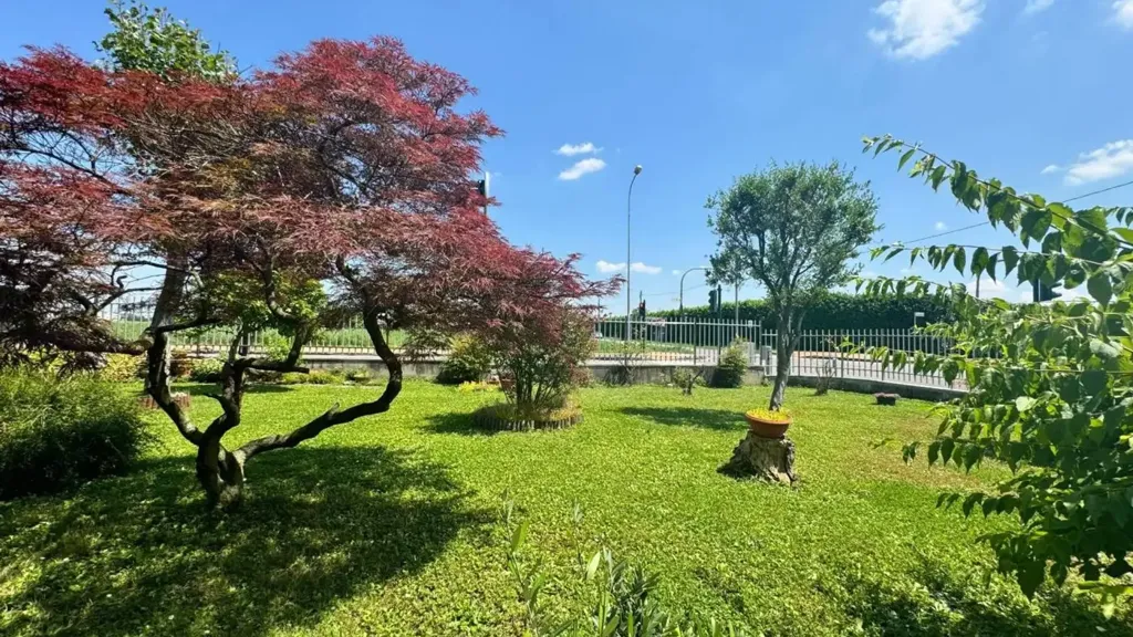 garden