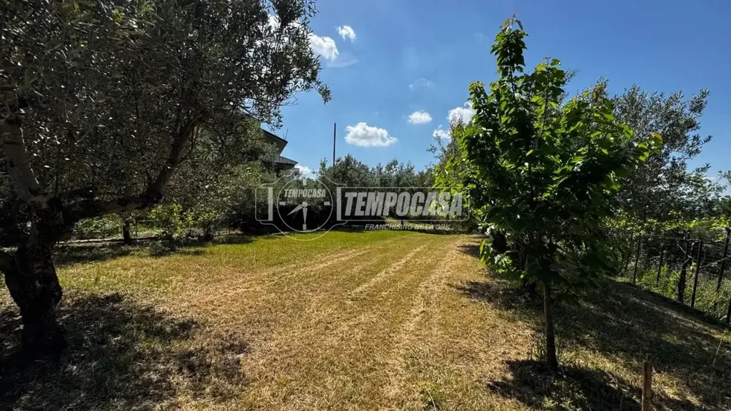 Jardin - Terraced Villa with Garden in Chieti