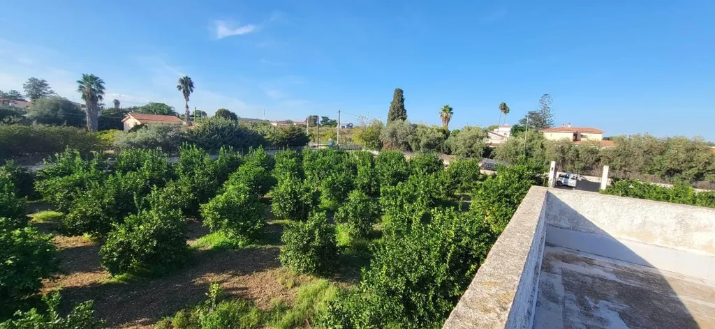 Garten - Villa with Lemon Trees near Fontane Bianche, Siracusa