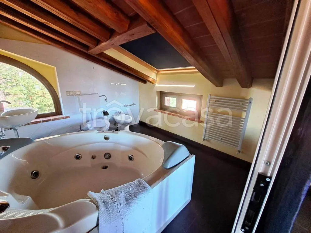 Vannitoad - Casale with Pool in Castiglione del Lago
